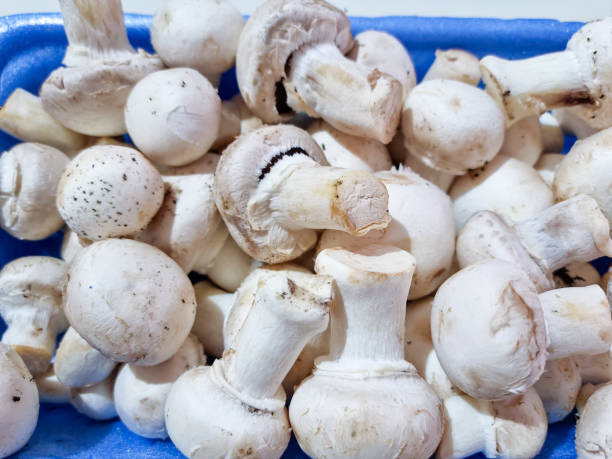 Fresh Button Mushrooms